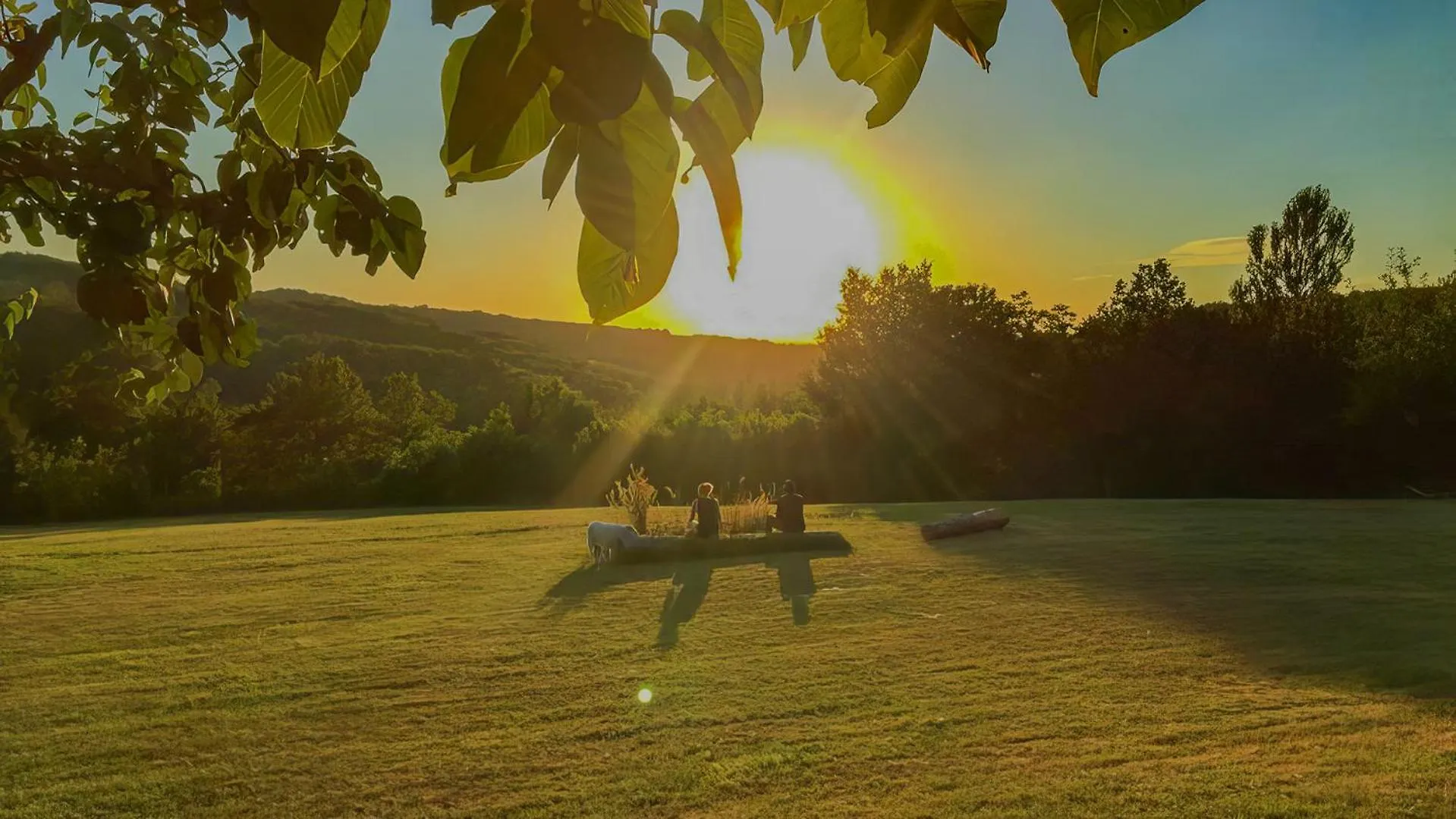 Ferienhaus Chalet Natur Und Erholung An Der Dordogne Payrac Francja