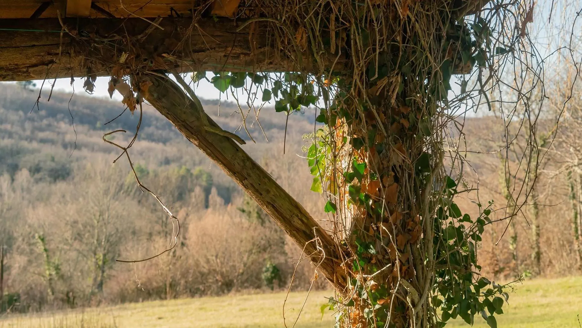 Apartament Ferienhaus Chalet Natur Und Erholung An Der Dordogne Payrac Francja